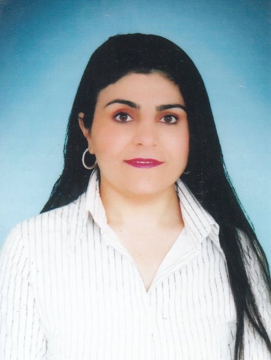 Ayşe İSTEK
